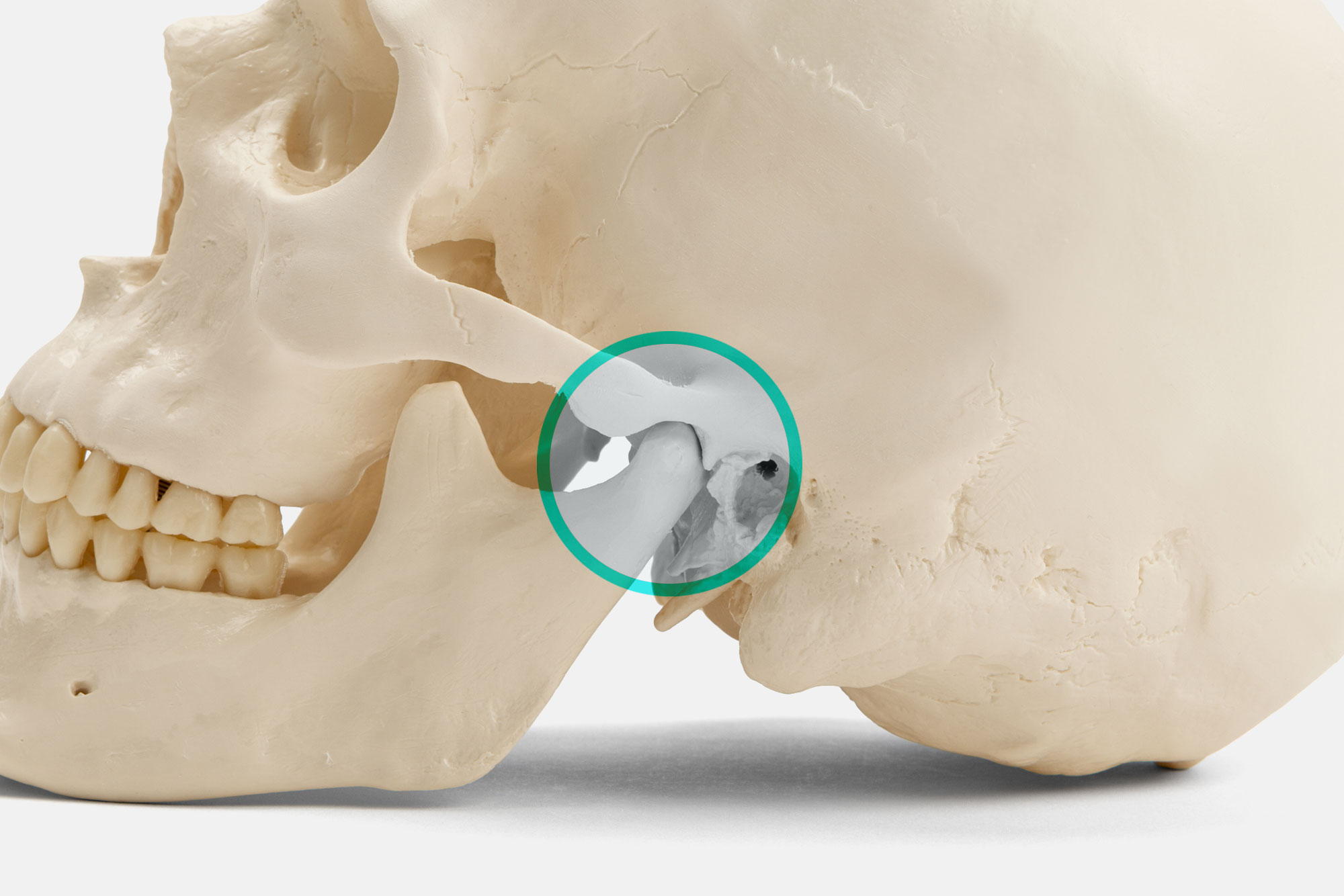 Oral Surgeon Dana Point, CA Dr. Eric Baker